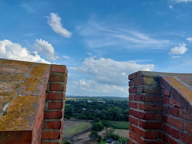 Przez to miasto Kujawsko-Pomorskiem nie da się przejść niezauważonym. Na turystów patrzy ponad 200 par kamiennych oczu. Wszędzie są twarze!