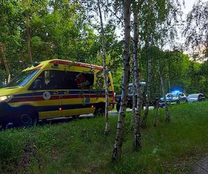 Znaleźli w lesie małe dziecko. Nikt jeszcze nie wiedział, że zaginęło  