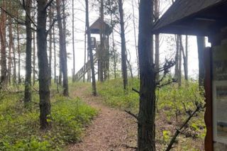 Wieża w Gugnach w Podlaskiem