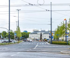 Sadzenie zieleni na placu Bankowym w maju 2025 r.