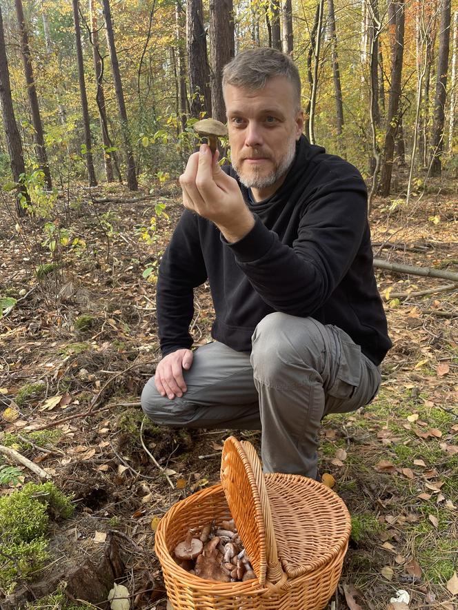Adrian Zandberg sprawdza, czy grzyby są trujące