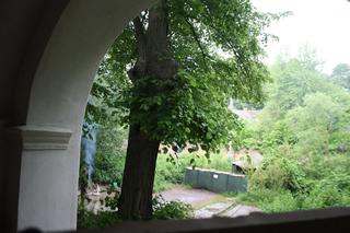 Polskie wojsko wkroczyło do Czech