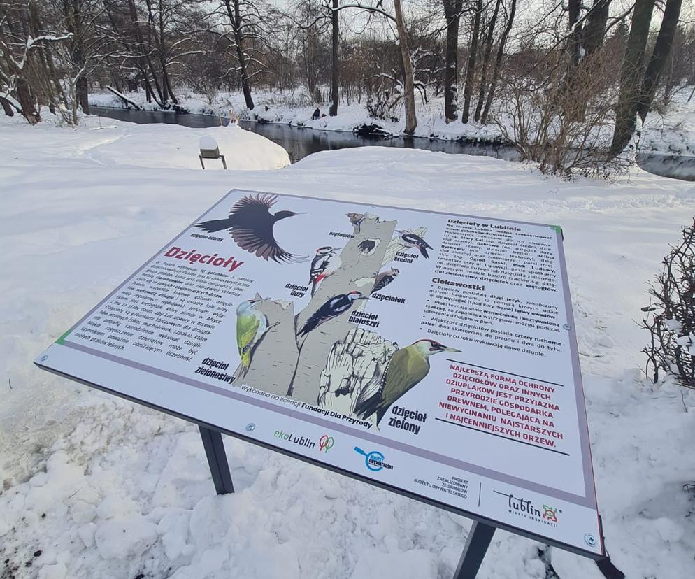 Tablice nad Bystrzycą w Lublinie