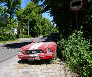 Opuszczony Mustang przy ulicy Wołyńskiej w Poznaniu. Do kogo należy? Jak długo będzie tam stał?