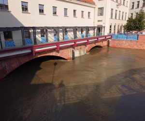 Wrocław. Fala w centrum miasta.