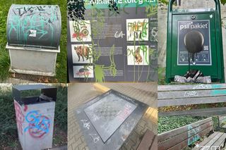 Wandale znów dewastują poznańskie parki. Miasto płaci za to ogromne kwoty