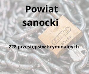 To tu na Podkarpaciu dochodzi do największej liczby przestępstw kryminalnych