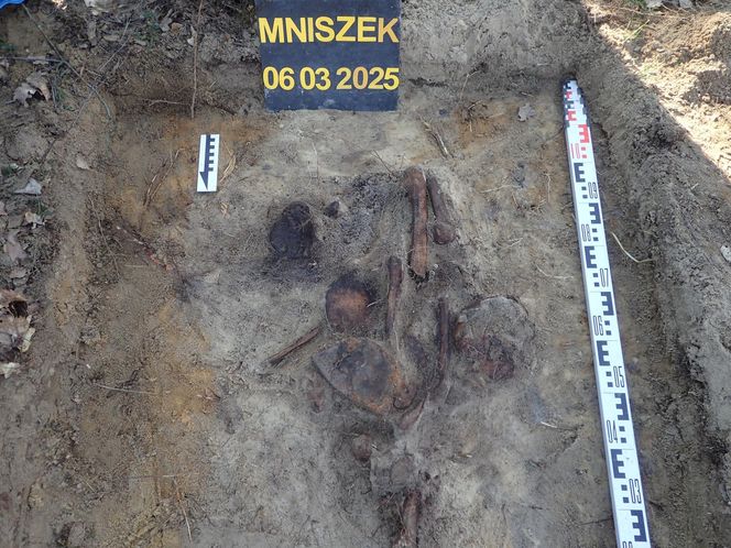 Ludzkie szczątki przy torach pod Świeciem! Tajemnica grobu w końcu wyszła na jaw