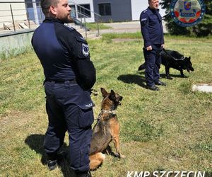 Trafika odnalazła 16-latka