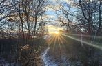 Pierwszy śnieg w tym roku. Pomorze pokryte białym puchem