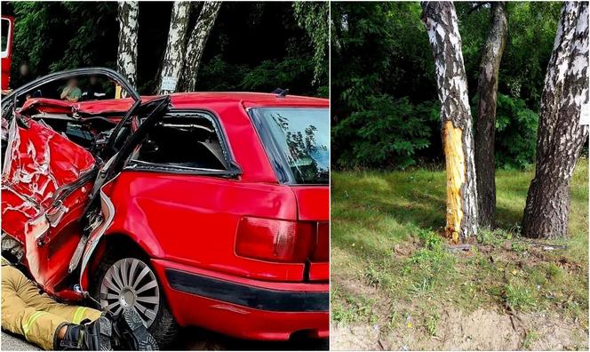 Śmiertelny wypadek w Zaborowie pod Warszawą. 36-letni kierowca audi uderzył w drzewo. Nie żyje 