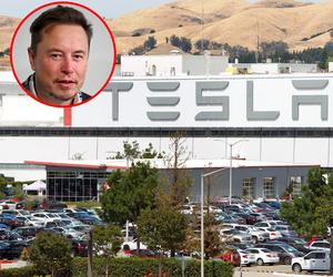 Musk postawi fabrykę Tesli bez pracowników. Jak to ma działać?