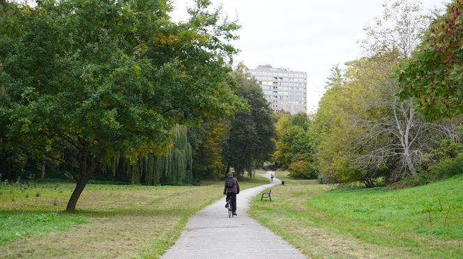 Park Rury w Lublinie w jesiennej odsłonie! Zobacz koniecznie jak teraz wygląda. Zdjęcia z ziemi i nieba