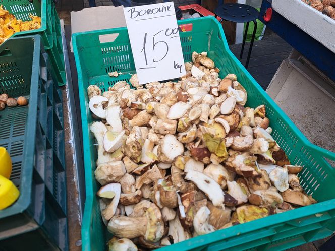 Ceny grzybów na Nowym i Starym Kleparzu w Krakowie