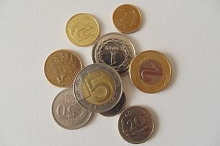 Oto dochód na jednego mieszkańca w dolnośląskich gminach