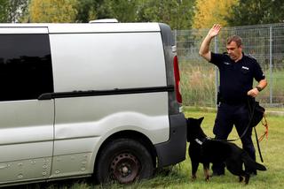 Policyjne psy podczas atestacji