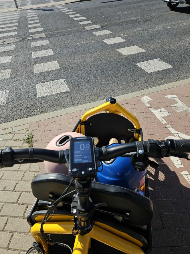 Nasz test rowerów cargo