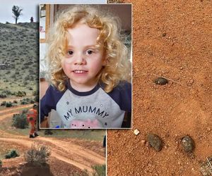 Zaginiony czterolatek zniknął z domu dziadków! Ktoś go zabrał