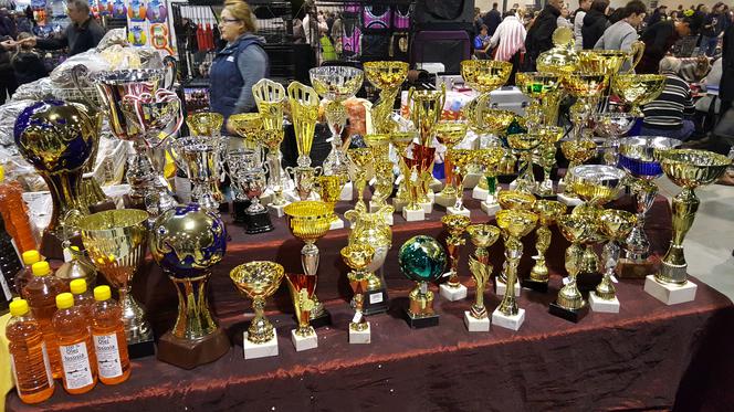 EXPO SILESIA DOG SHOW 2017