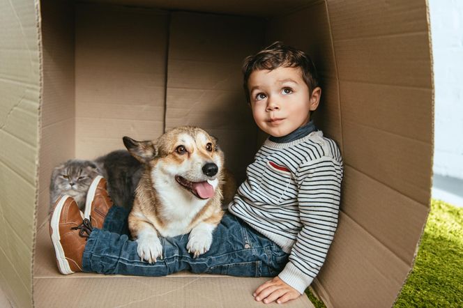 Wychowywanie się z psem przynosi konkretne korzyści. Służy nawet naszym jelitom