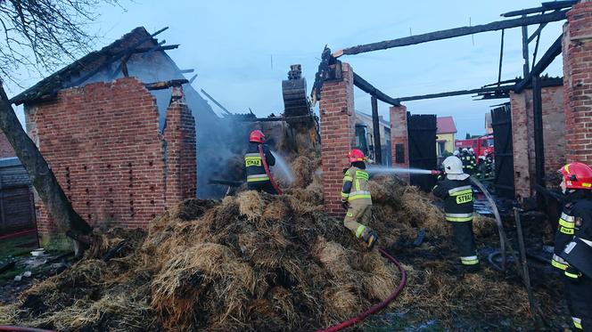 Brudzice: We wsi grasuje podpalacz! Ofiarą padła 73-latka. Chciała ratować swoją stodołę! 