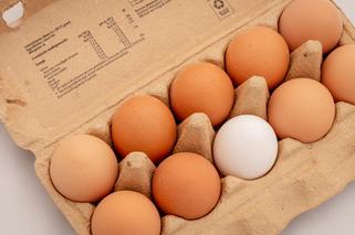 GIS ostrzega przed salmonellą w jajkach. Z jakiej firmy? Które partie są wycofane? 