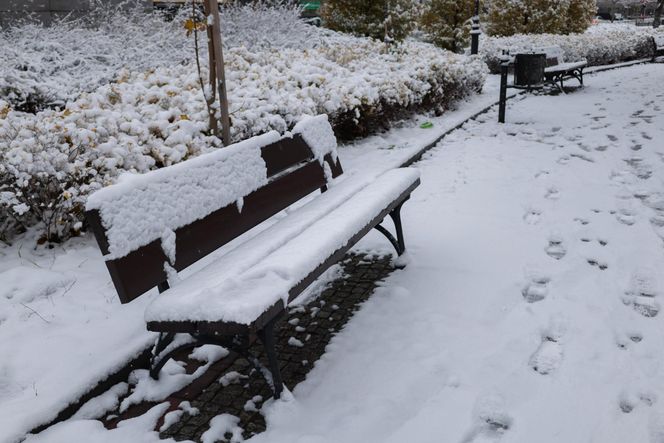 Śnieżny armagedon w Warszawie. Pierwszy atak zimy sparaliżował stolicę. Ogłoszono akcję ALFA