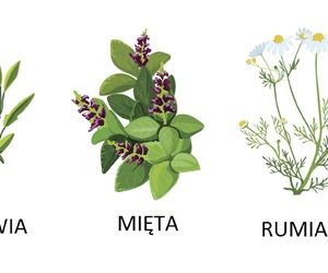 Zioła psychoaktywne i skutki ich palenia