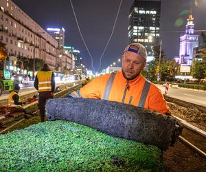 Wielki powrót tramwajów na Marszałkowską. Pojadą po zielonym dywanie