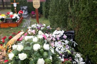 Grób Henryka Kani