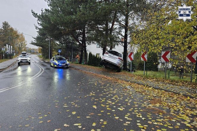 Pijany Ukrainiec rozbił auto na drzewie