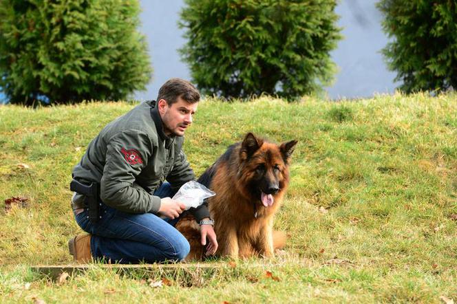 Komisarz Alex 5 sezon. Michał Orlicz (Antoni Pawlicki)