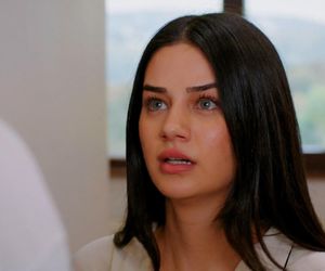 Miłość i nadzieja, odcinek 277. Bahar, Kuzey