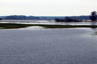 Przebudują most nad Narwią w Bronowie. To tutaj kręcono Konopielkę i Wołyń