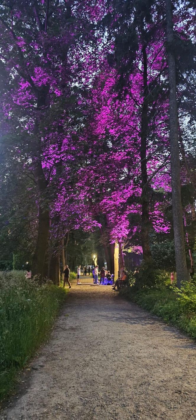 Park Świateł
