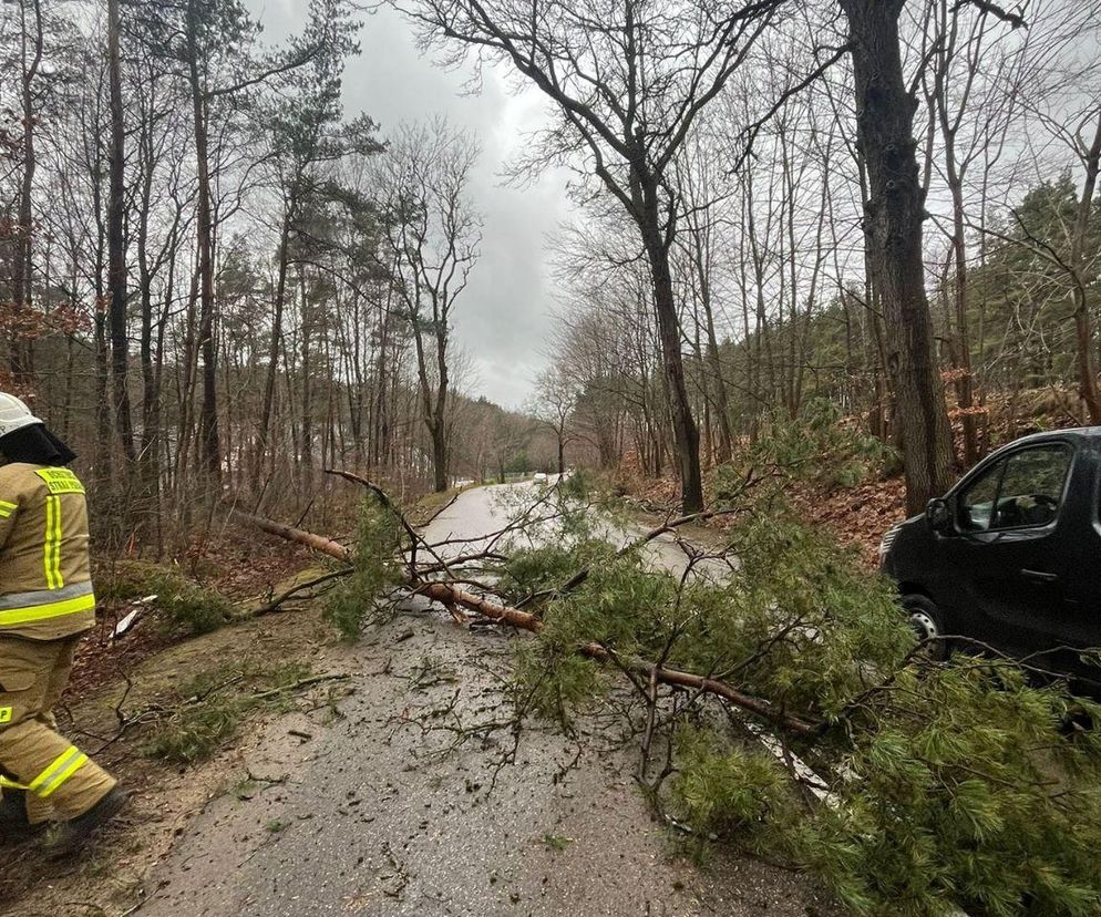 Cztery tysiące domów nadal bez prądu. To skutek wichur