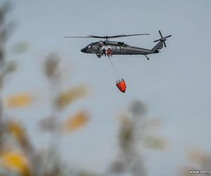 Wrocław. Ćwiczenia na terenie Portu Lotniczego im. Mikołaja Kopernika [ZDJĘCIA].