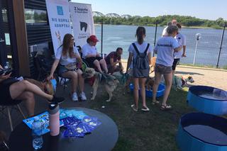Charytatywne wydarzenie dla zwierząt w Grudziądzu