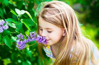 Pachnący ogród: propozycje pachnących roślin do posadzenia w ogrodzie