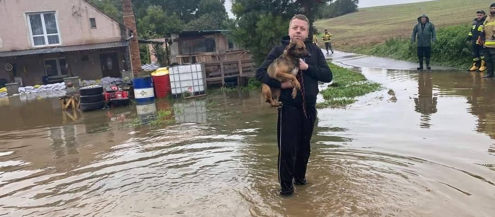 Powódź. Schronisko dla zwierząt w Świdnicy