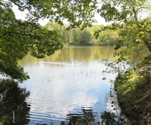 To najpiękniejszy park w Warszawie. Mieszkańcy są zachwyceni