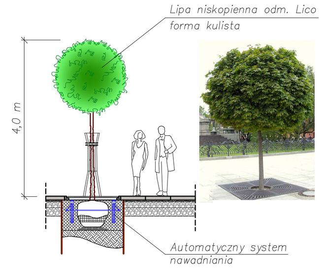 3 Maja po remoncie