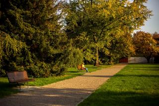 Park Śląski jesienią jest naprawdę piękny