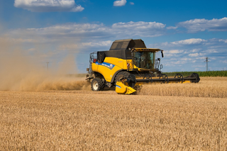 Ukraińskie zboże w Polsce. Minister ujawnił, jakie rozwiązanie zaproponowali Ukraińcy