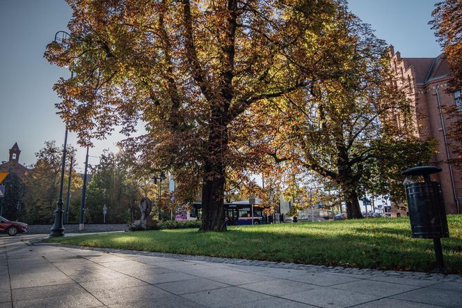 Plac Kościeleckich w Bydgoszczy po przebudowie