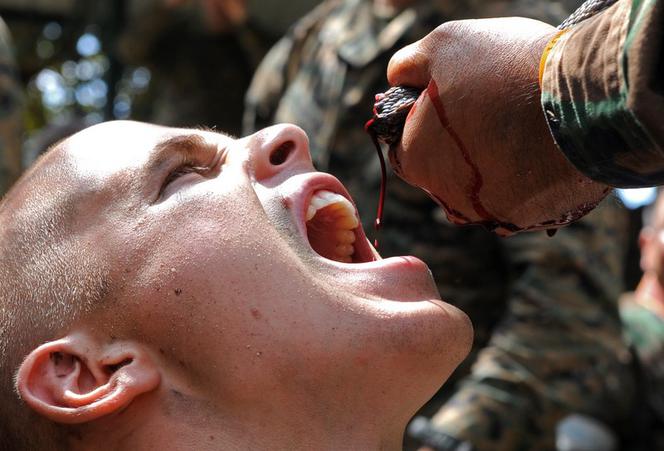 Tak się szkoli żołnierzy marines 