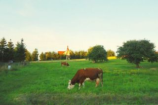 Czerteż - wieś na Podkarpaciu, która kryje wiele tajemnic