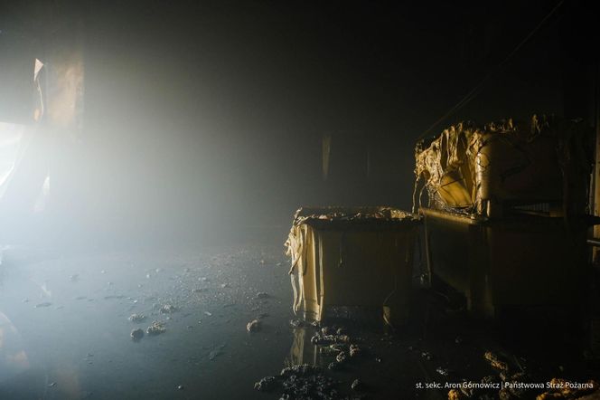  Kawle. Pożar zakładu przetwórstwa drobiowego. 120 strażaków walczy z żywiołem w czwartek, 14 sierpnia. Jeden z nich zaginął [ZDJĘCIA]