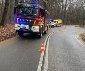 Skoda z dwiema osobami w środku uderzyła w drzewo. 4-letnie dziecko trafiło do szpitala