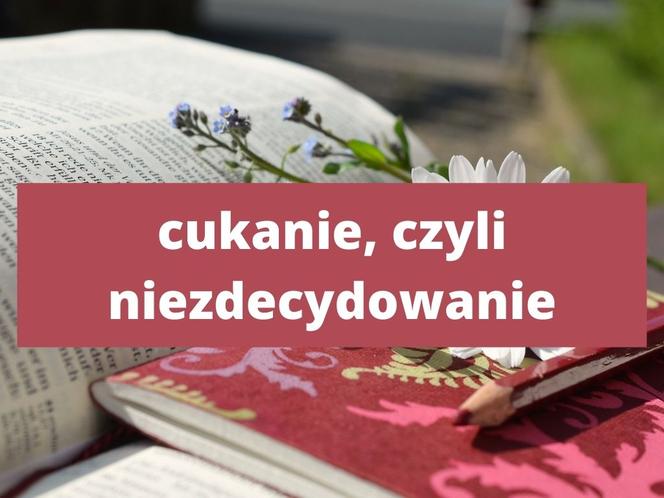 Te słowa tylko na Podkarpaciu! Znasz znaczenie tych słów? 